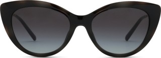 Emporio Armani EA 4213U 50171W 53 (sonnenclip) 36744