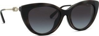 Emporio Armani EA 4213U 50171W 53 (sonnenclip) 36745