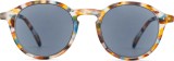 Izipizi Reading Sun #D Blue Tortoise 18191
