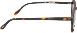 Izipizi Sun #D Tortoise/Gray Lenses 17139