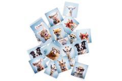 Memory Spiel Lentiamo (Bonus)