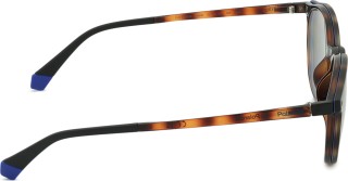 Polaroid PLD 6137/CS 086 SP 52 (sonnenclip) 39650