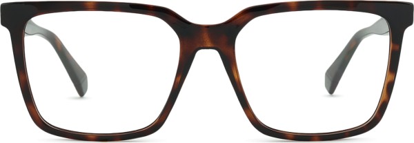 Polaroid PLD D556/C 086 17 55 (sonnenclip)