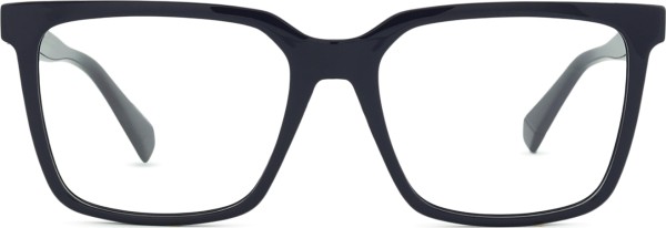 Polaroid PLD D556/C PJP 17 54 (sonnenclip)