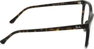 Ray-Ban 0RX2210V 2012