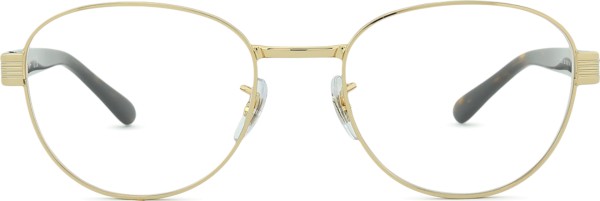 Ray-Ban 0RX6543 2500