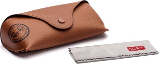 Ray-Ban Erika RB4171 622/8G 54 771