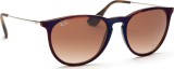 Ray-Ban Erika RB4171 631513 54