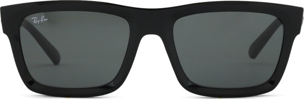 Ray-Ban Warren RB4396 667787